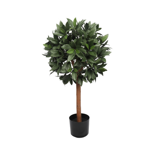 UV Bay Laurel Ball Tree 16 x 36"