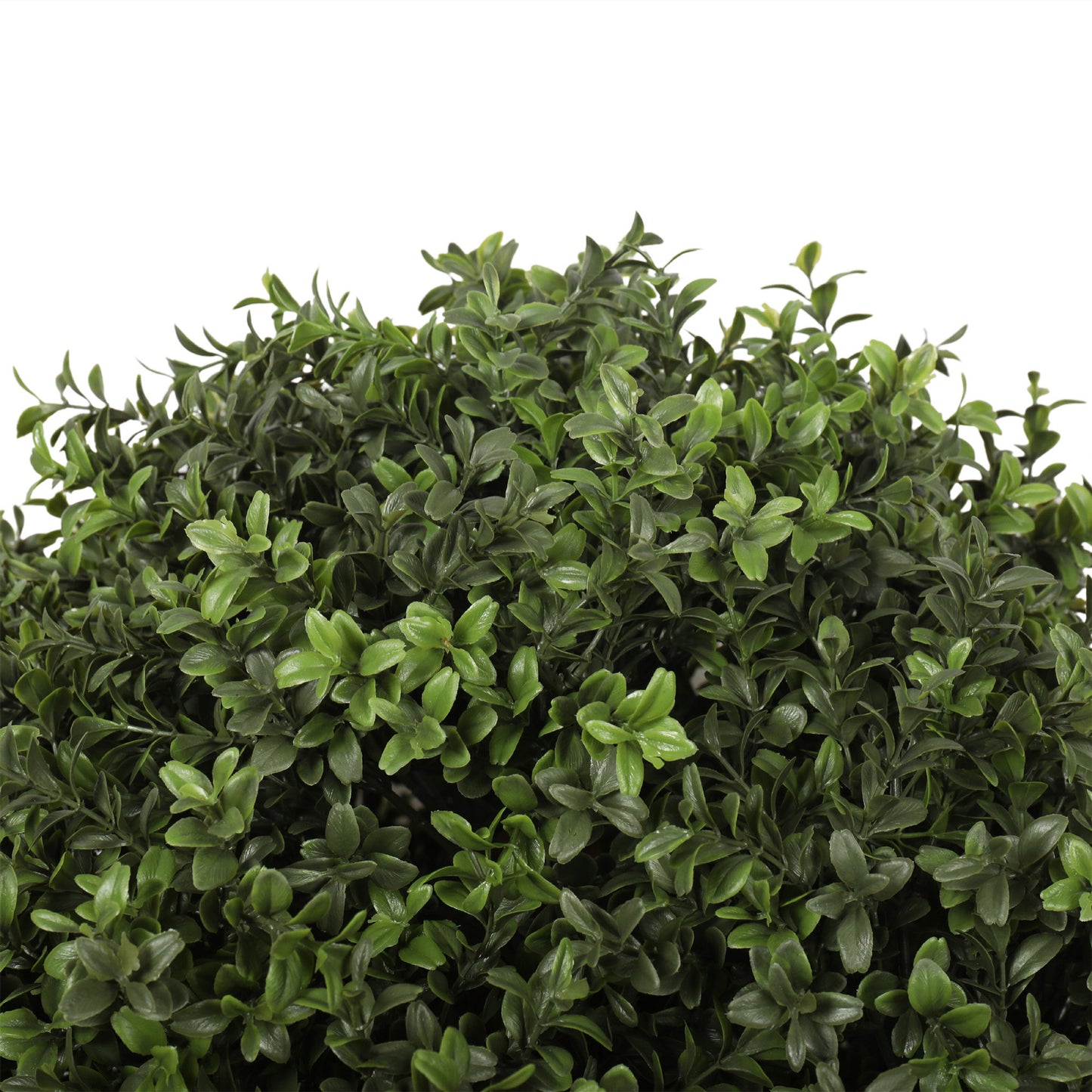 UV Boxwood Ball 24  34"  Topiary 