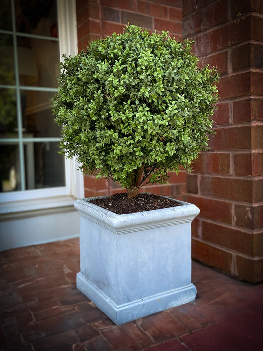 UV Boxwood Ball 24 x 34"  Topiary